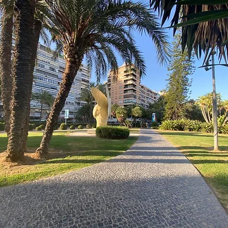 Daire Golden Loft Alicante